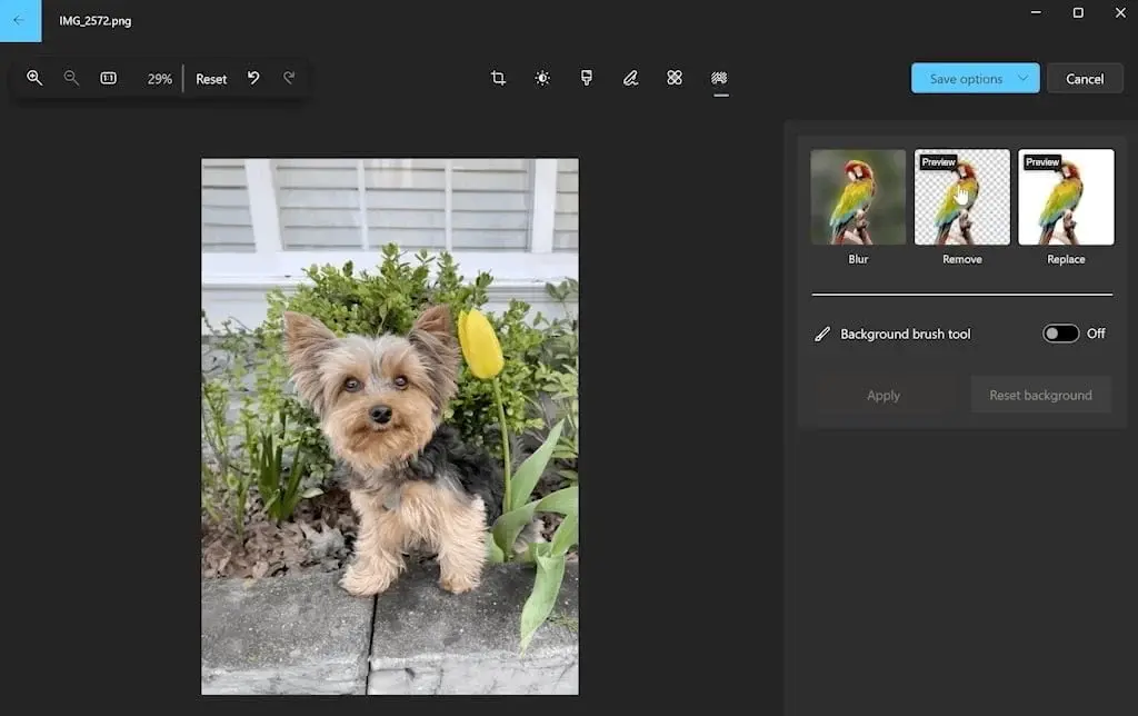 Microsoft Enhances Windows Photos App with Advanced Background Remover, Replace Feature, and Various Enhancements