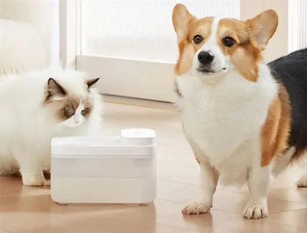 Xiaomi Releases MIJIA Wireless Smart Pet Water Dispenser