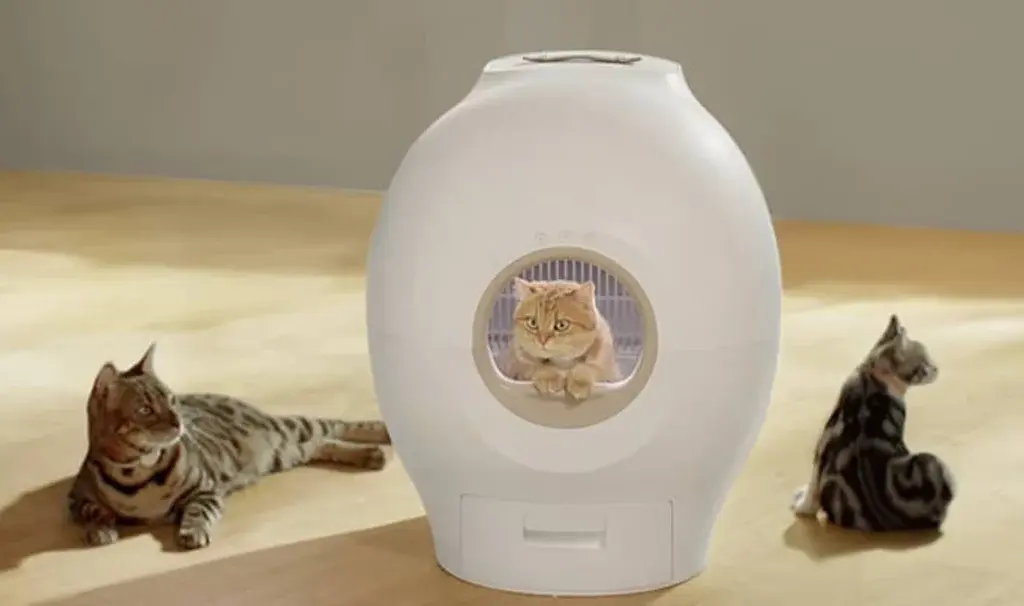 Introducing PETGUGU: The World's First Smart Cat Flush Toilet