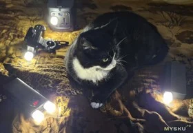 $0.20 USB-Powered Lights Receive Excellent Reviews
