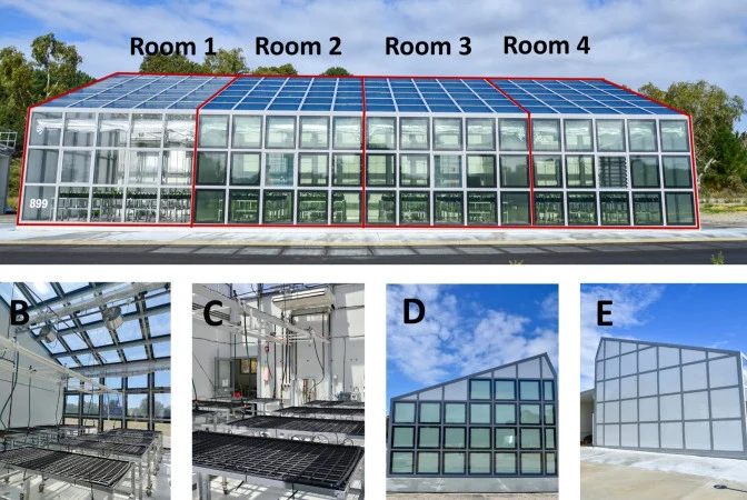 Transparent Solar Cells Halve Greenhouse Energy Use