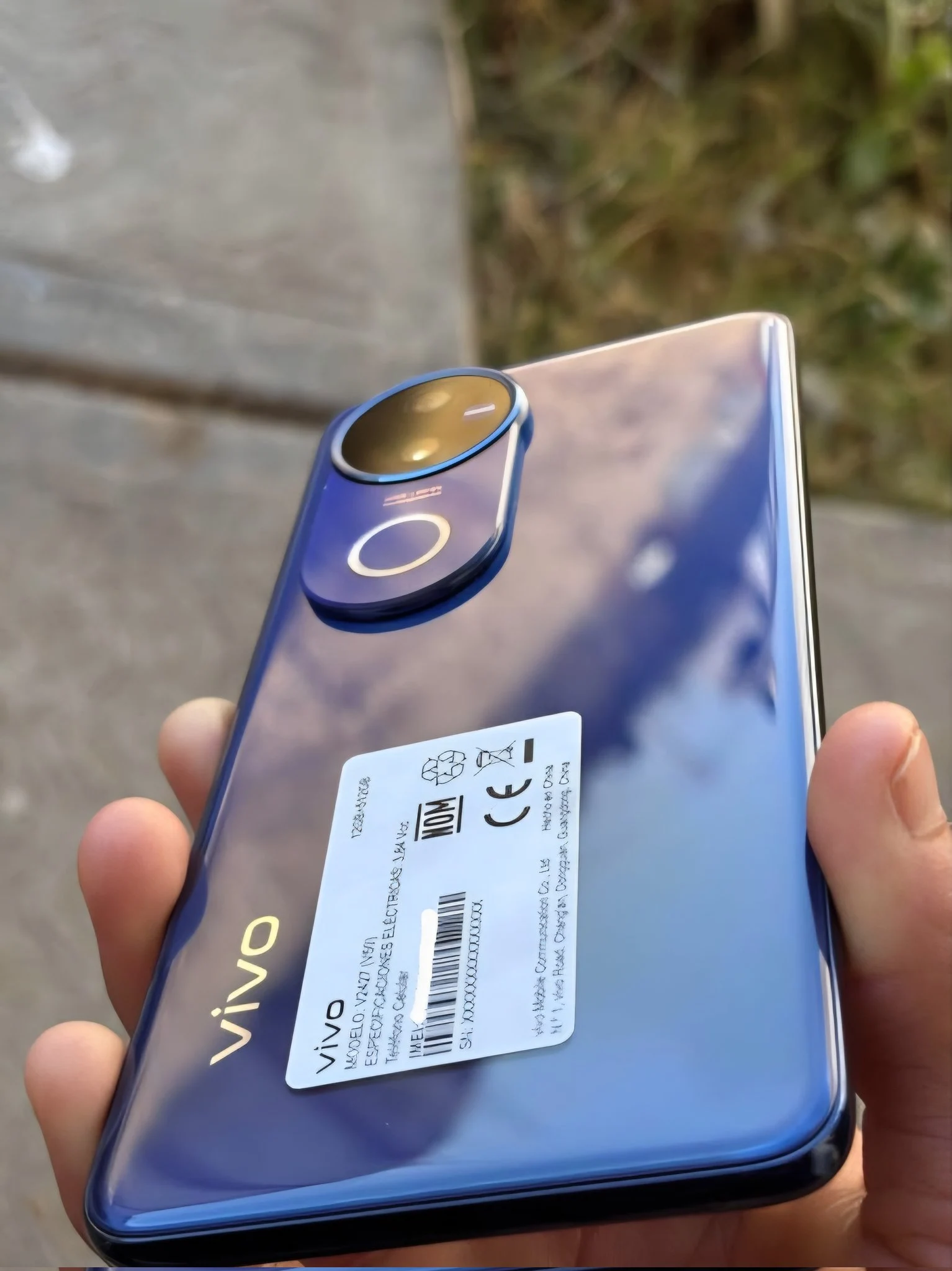 Vivo V50 Blue Edition Leaked in Real-Life Images Before Launch
