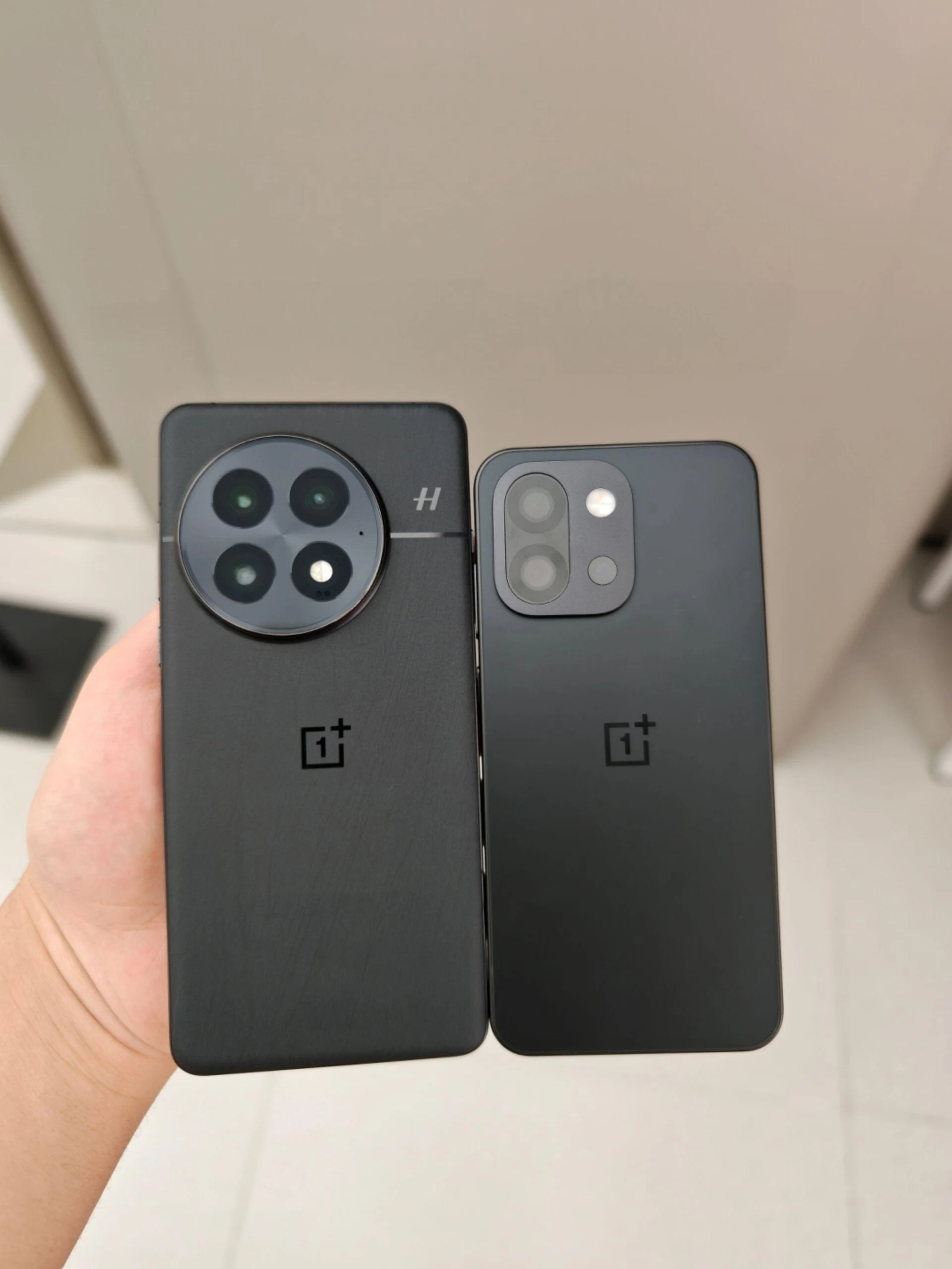 OnePlus 13T Screen Size Revealed: Compare with OnePlus 13
