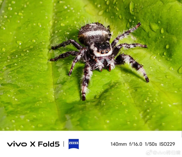 Vivo X Fold5 Camera Upgrades Shine in Early Samples