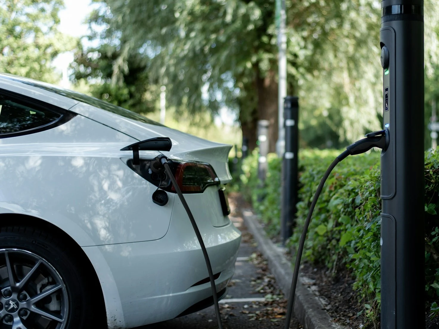 Biowaste: Future Battery Power for Affordable EVs and Solar Systems