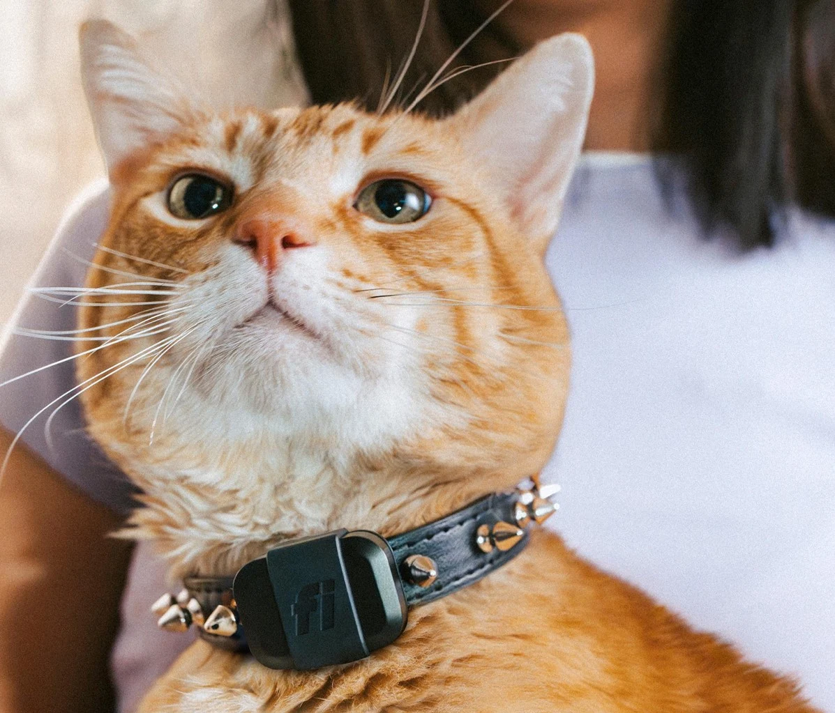 Fi Mini Fitness Trackers for Cats and Dogs with GPS and LTE-M