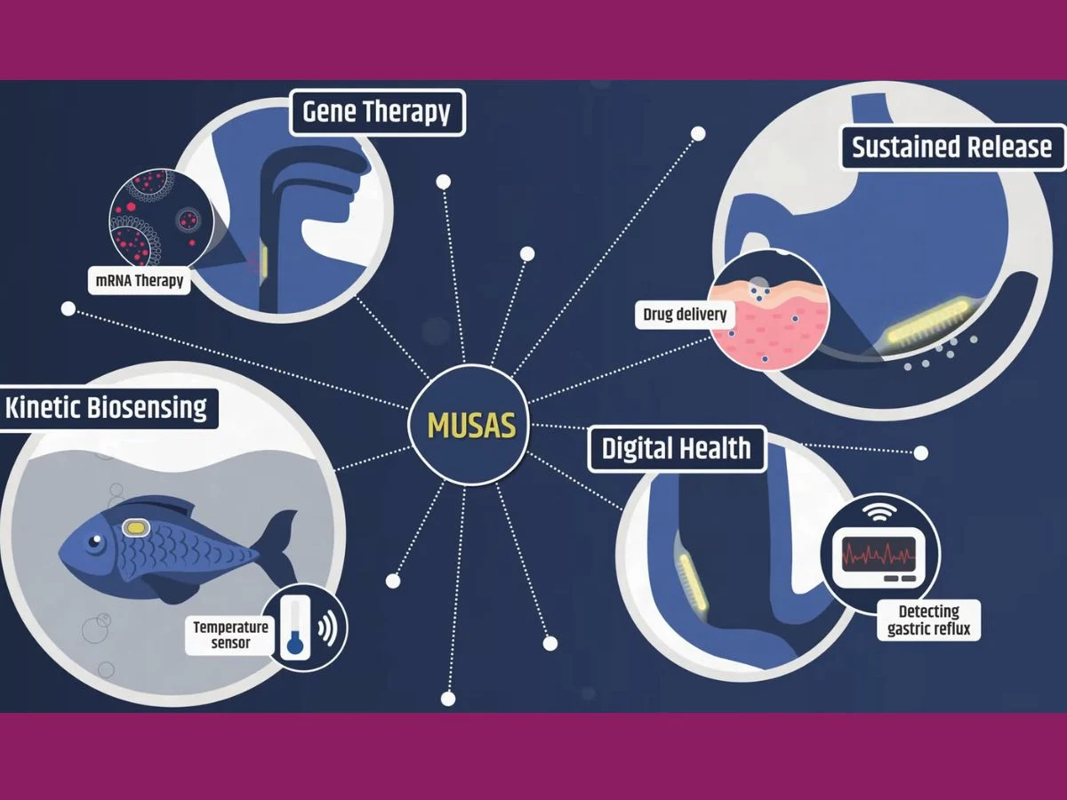 Non-Invasive Adhesive Delivers Drugs to Stomach Lining