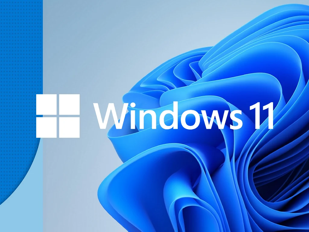 Windows 11 Update Causes SSD Failures During Heavy Transfers