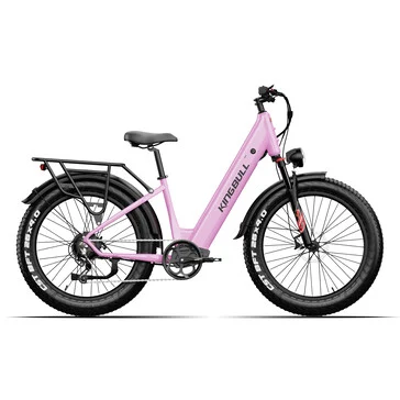 Kingbull Launches Discover 2.0 Fat-Tire E-Bikes with Samsung Battery