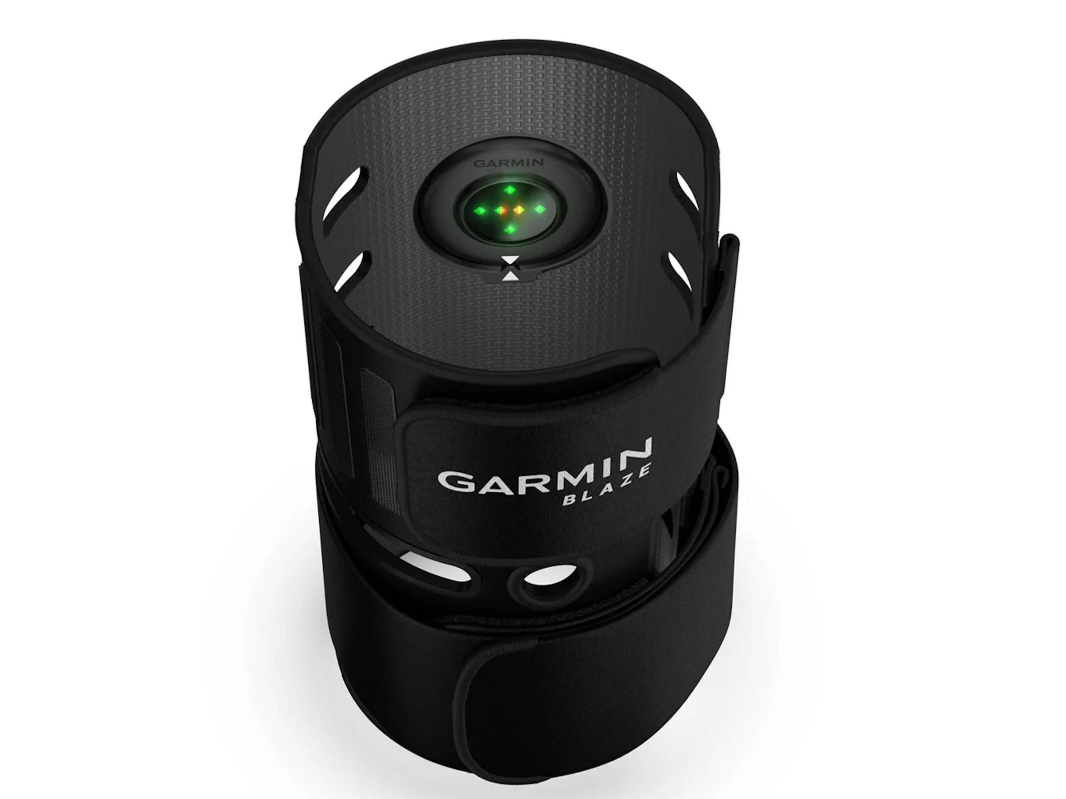 Garmin’s New Wearable Tracks Heart Rate and Activities for Pets