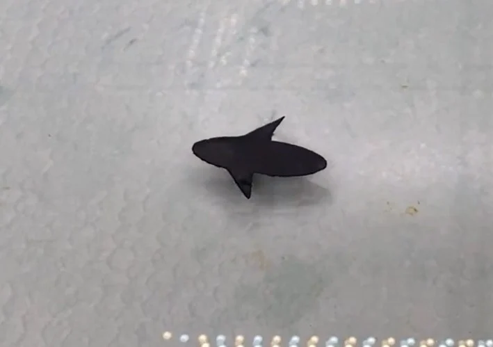 Robots Walk on Water with New Heat-Powered Technique