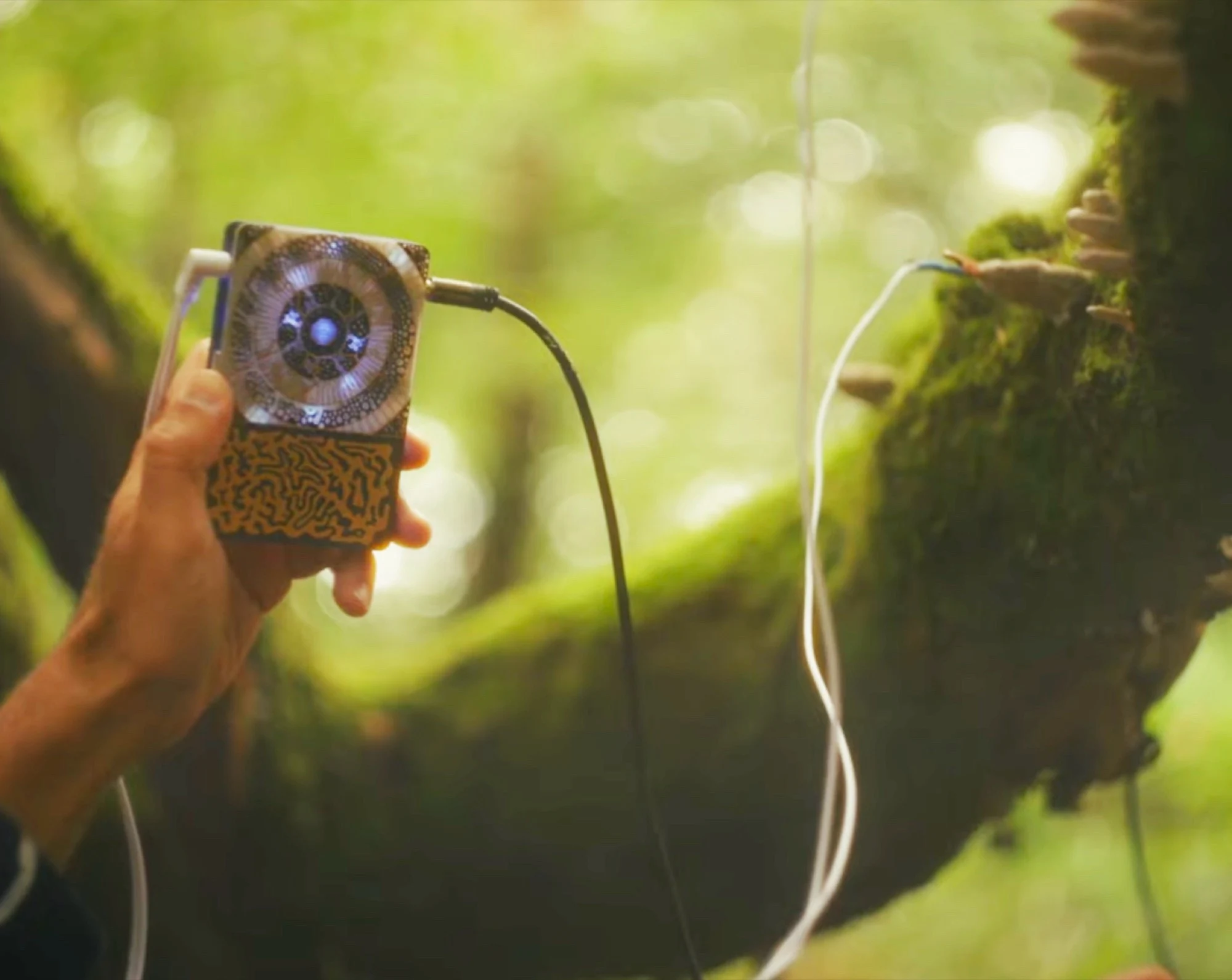 Pocket Scion: Harnessing Plants to Create Music