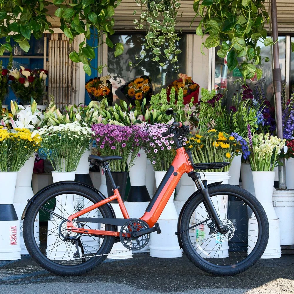 Momentum Launches Vida E+ E-Bike with Anti-Theft and 88 km Range