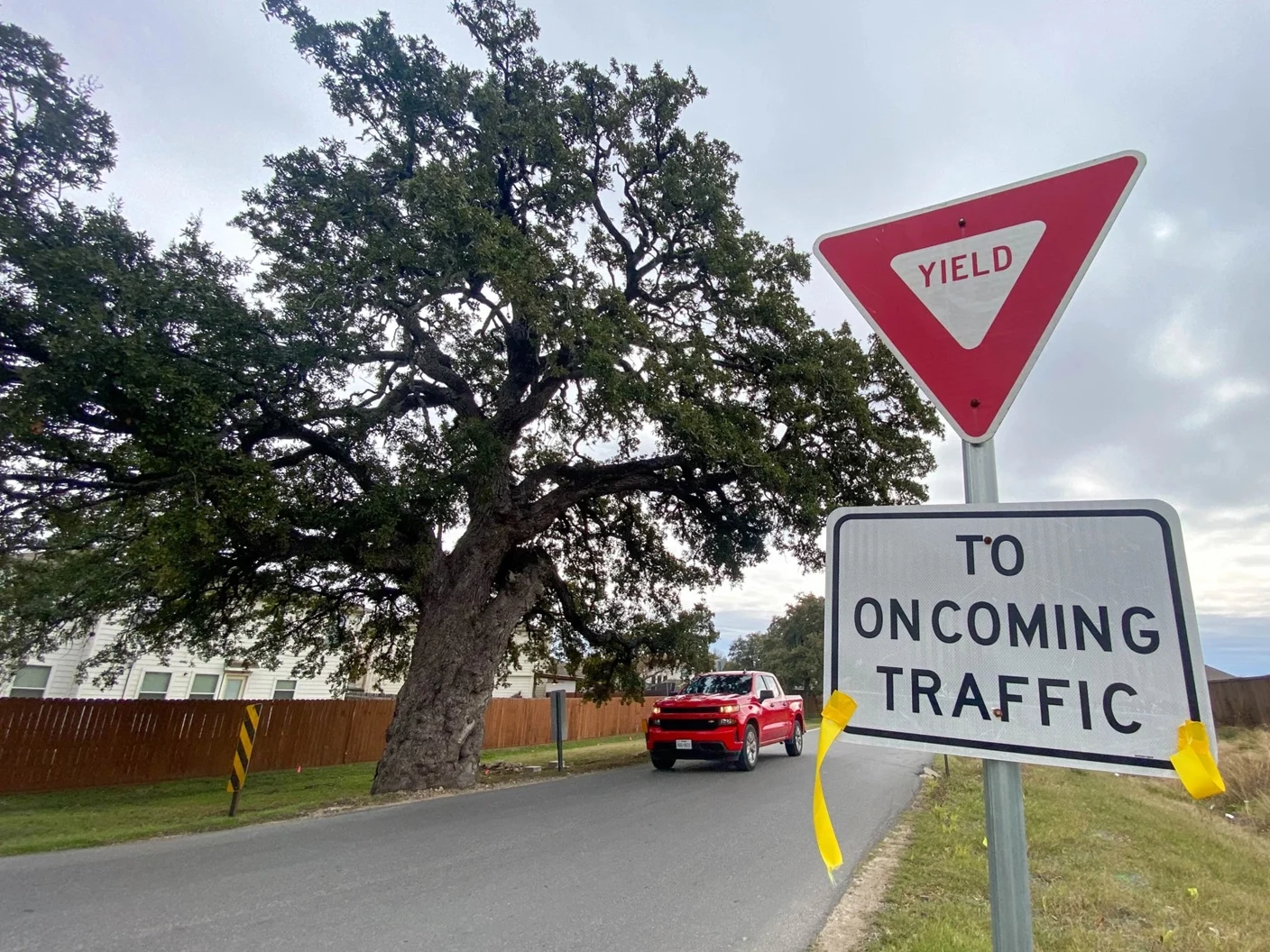 Texas City Invests $1M to Relocate 400-Year-Old Oak Tree