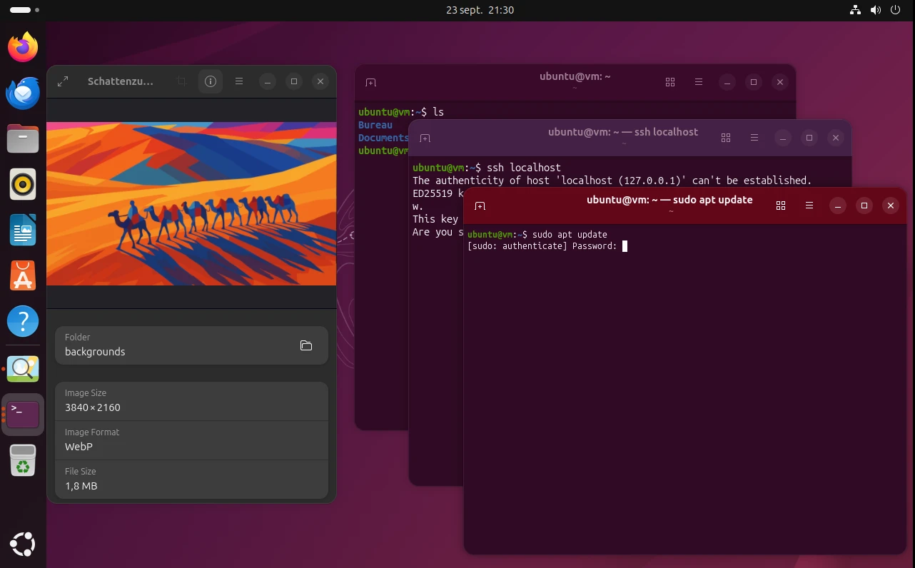 Ubuntu 25.10 Questing Quokka Launches with GNOME 49 and Linux 6.17