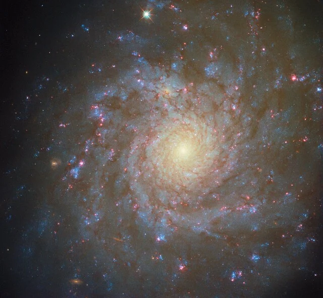 Stunning Hubble Image of Star-Studded Galaxy - Picture of the Week
