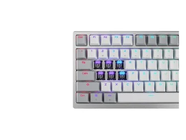 Asus Launches Hall Effect Mechanical Keyboard with OLED Display