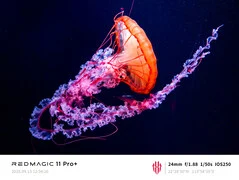 RedMagic Showcases Camera Features in Water-Cooled Gaming Phone