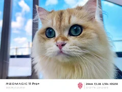 RedMagic Showcases Camera Features in Water-Cooled Gaming Phone