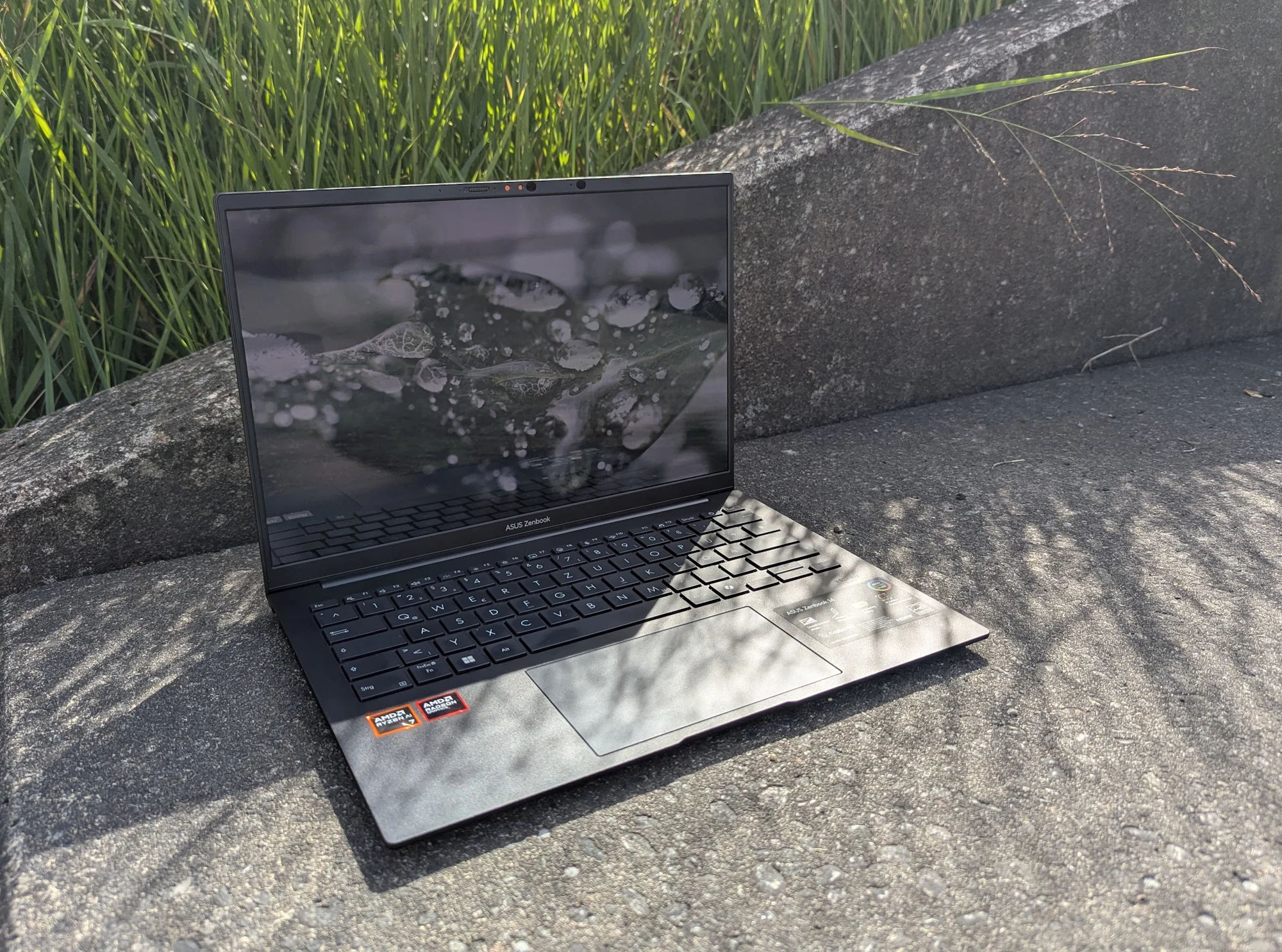 Intel ZenBook 14 OLED: AMD Version Offers Faster Wi-Fi 7 Speeds