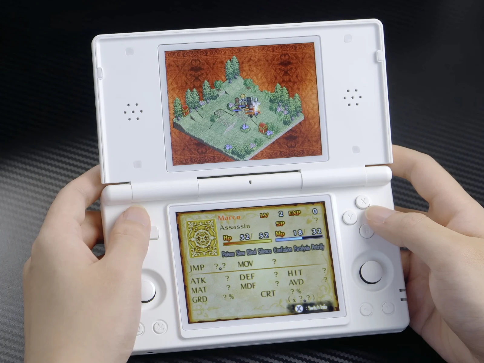 Anbernic Unveils Gyro and Mic Features for New Nintendo DS Handheld