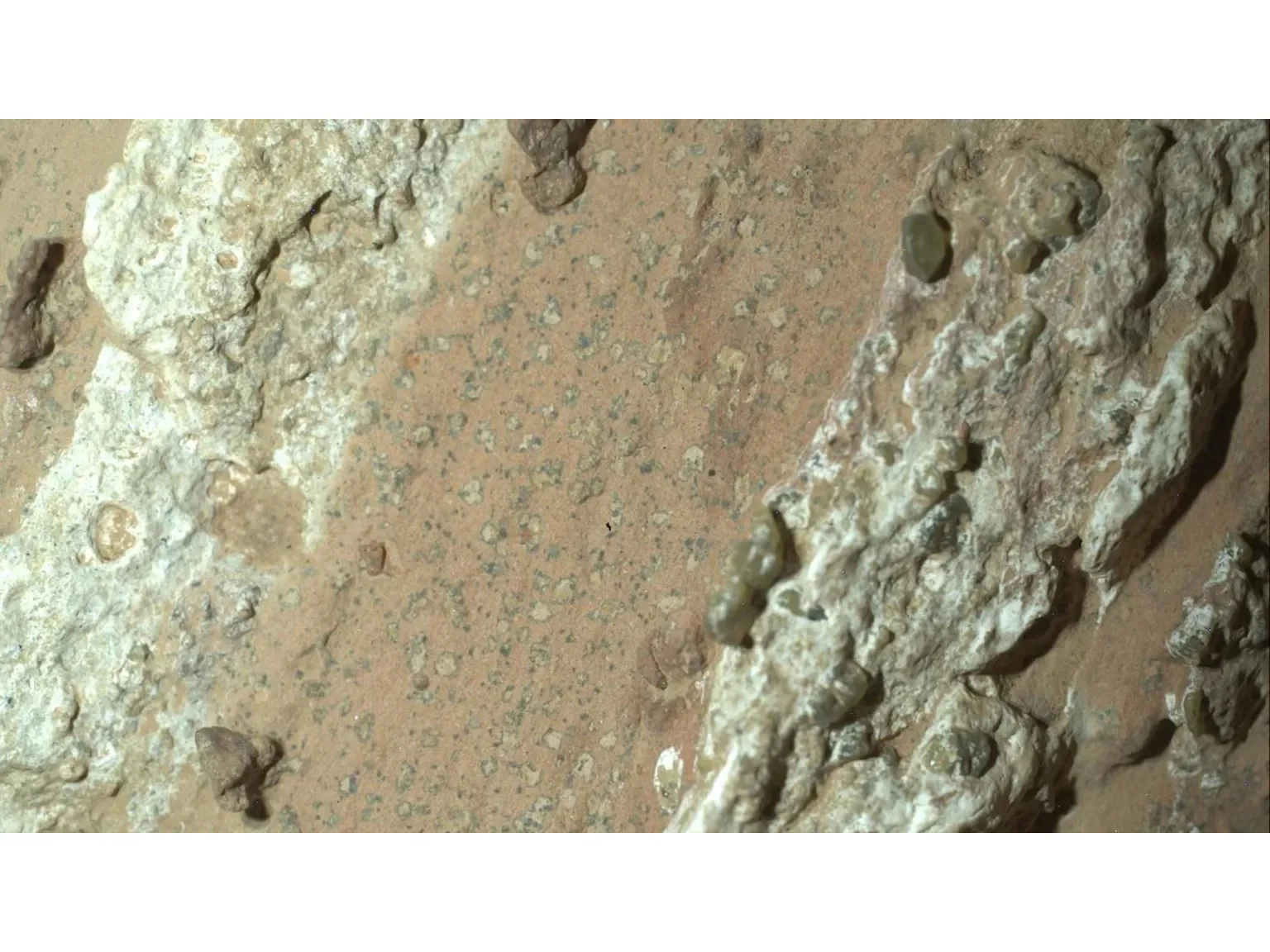 NASA Finds Clearest Signs of Life on Mars Ever Discovered