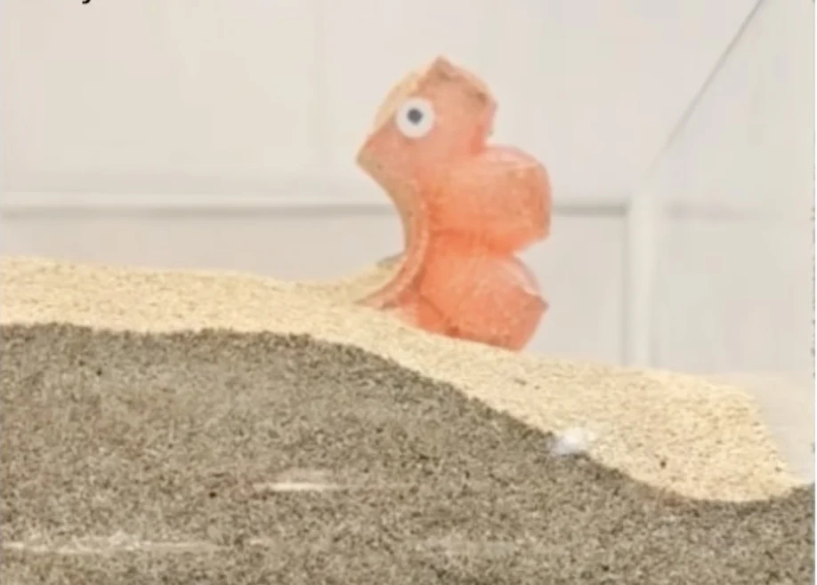 Edible Robot: Safe to Eat, Battery Included