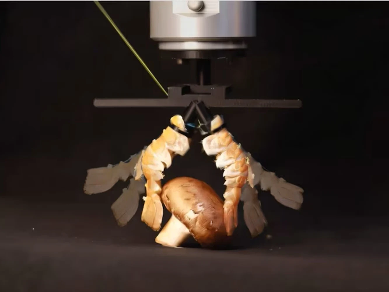 Lobster Shells Turned into Robot Parts for Sustainable Robotics