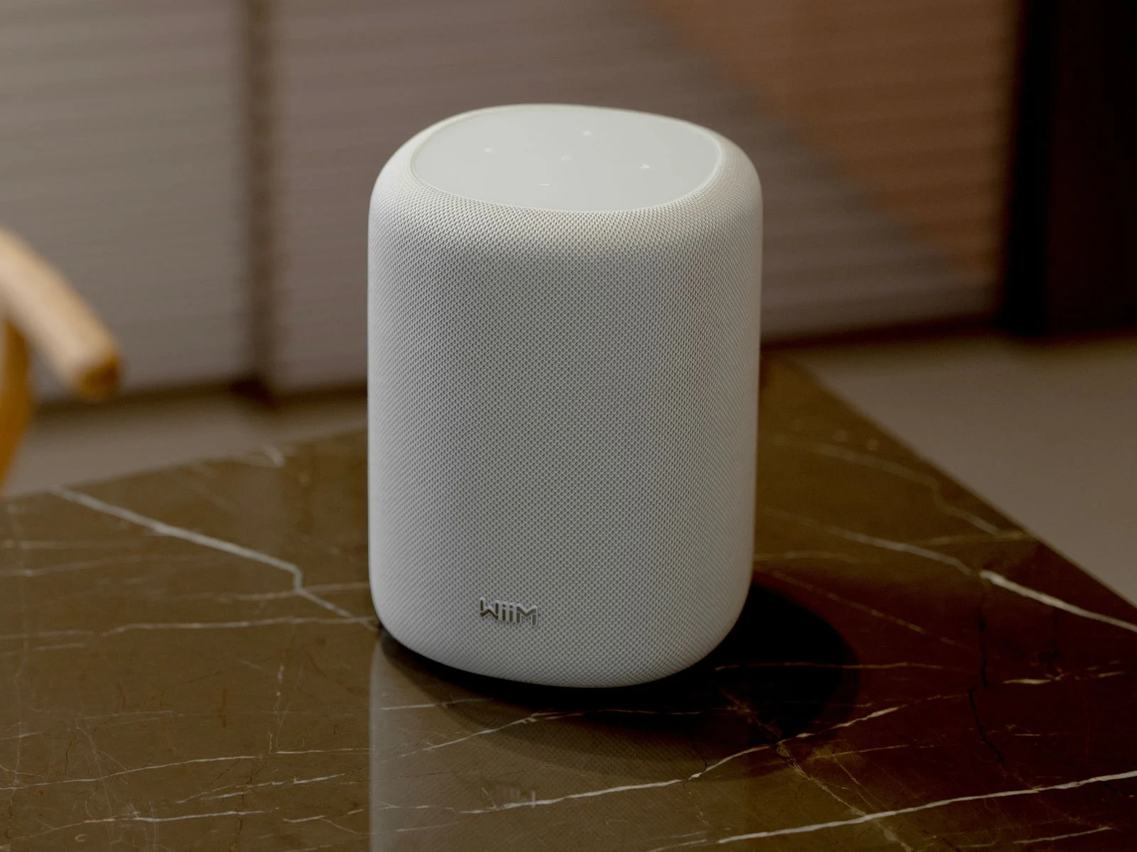WiiM Sound Lite: Minimalist Hi-Res Smart Speaker with 100W Power