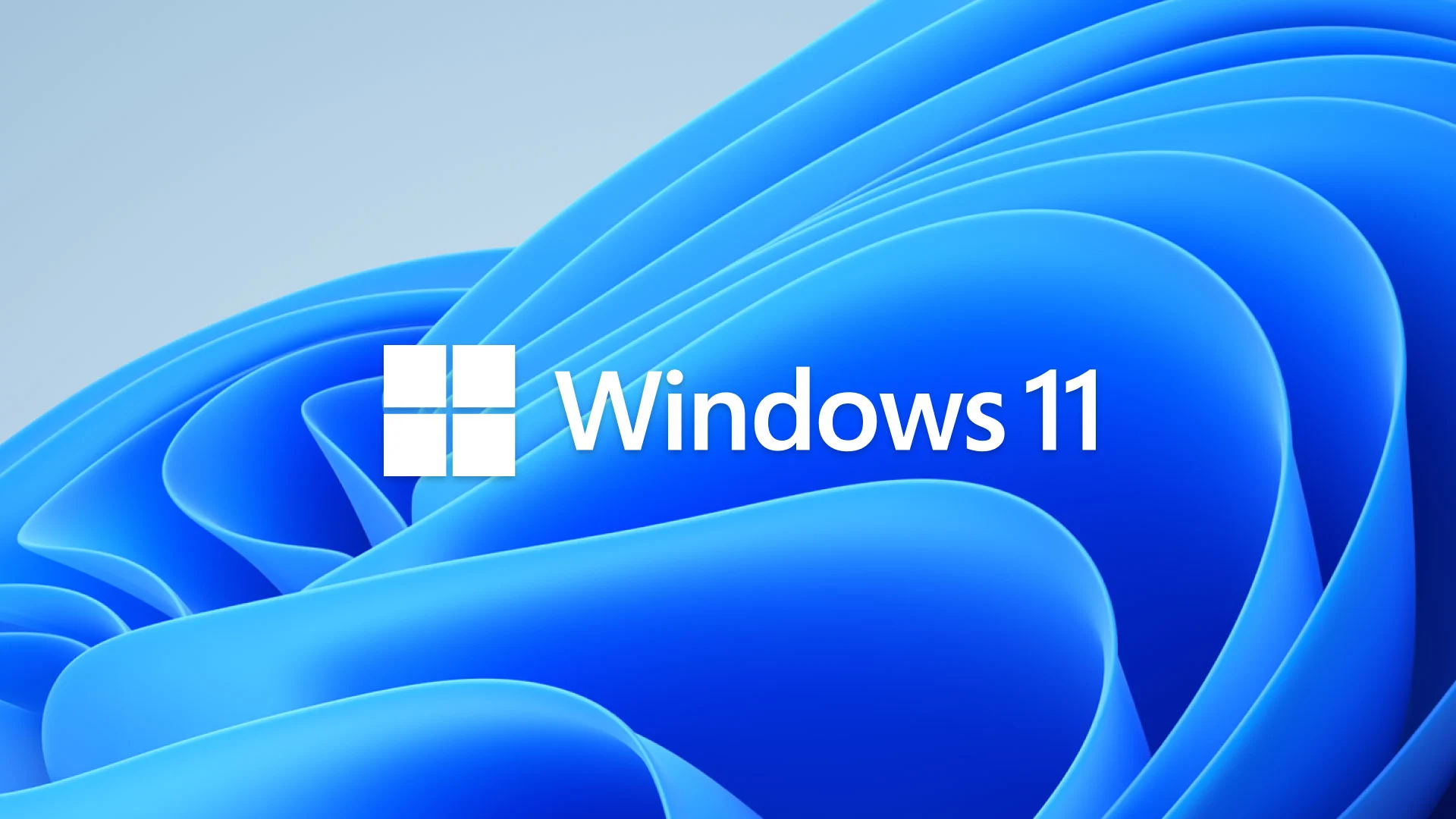 Windows 11 January Patch Tuesday Causes Black Screen Issues