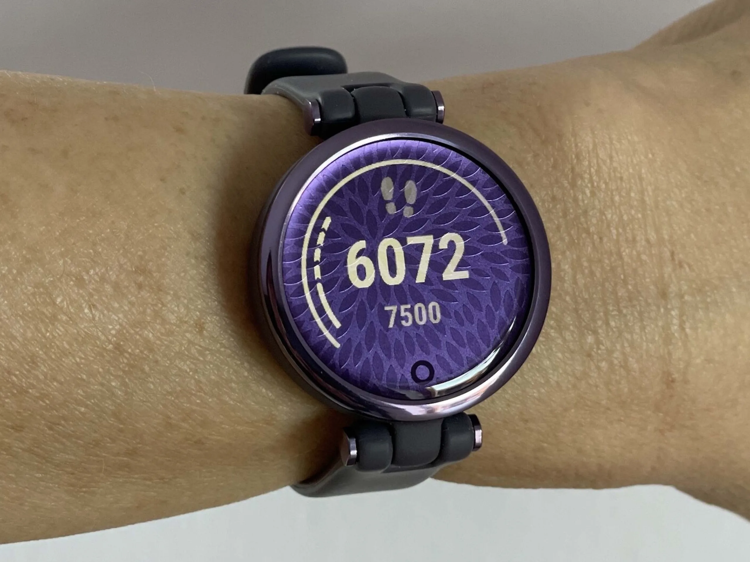Garmin Smartwatch Health Metrics Show Large Margin of Error