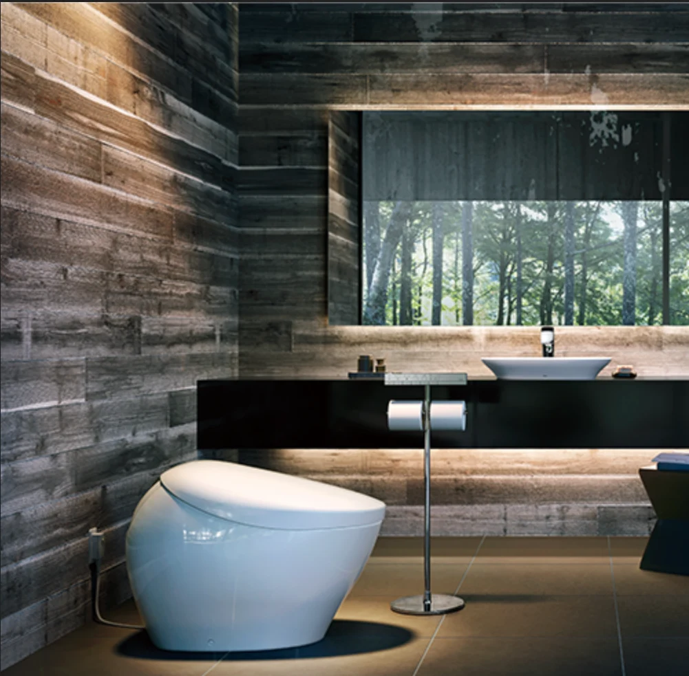 Japanese Toilet Maker to Profit from Ongoing Memory Shortage