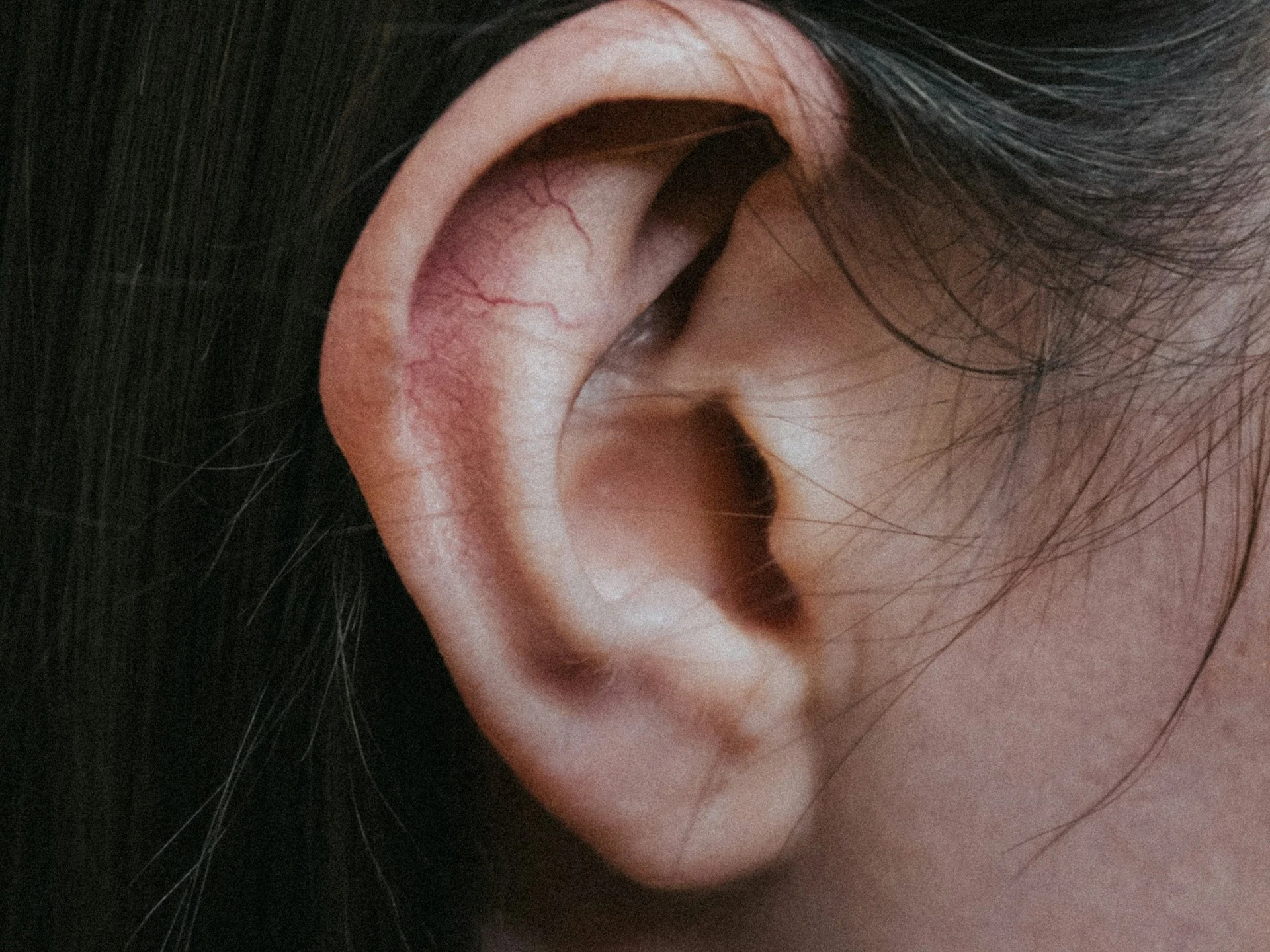 How the Brain Isolates Voices in Noisy Environments