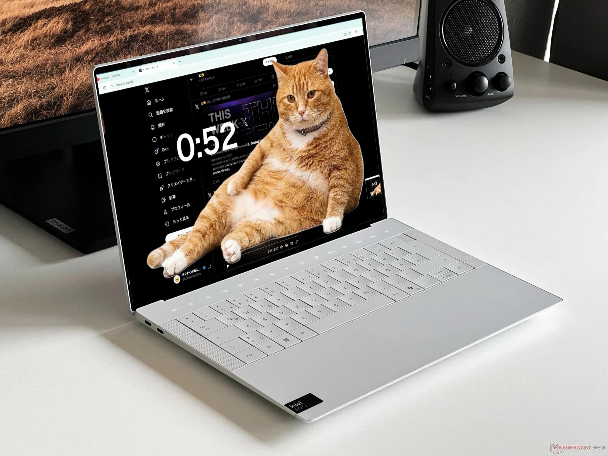 Orange Cat Fights Doomscrolling to Protect Cats