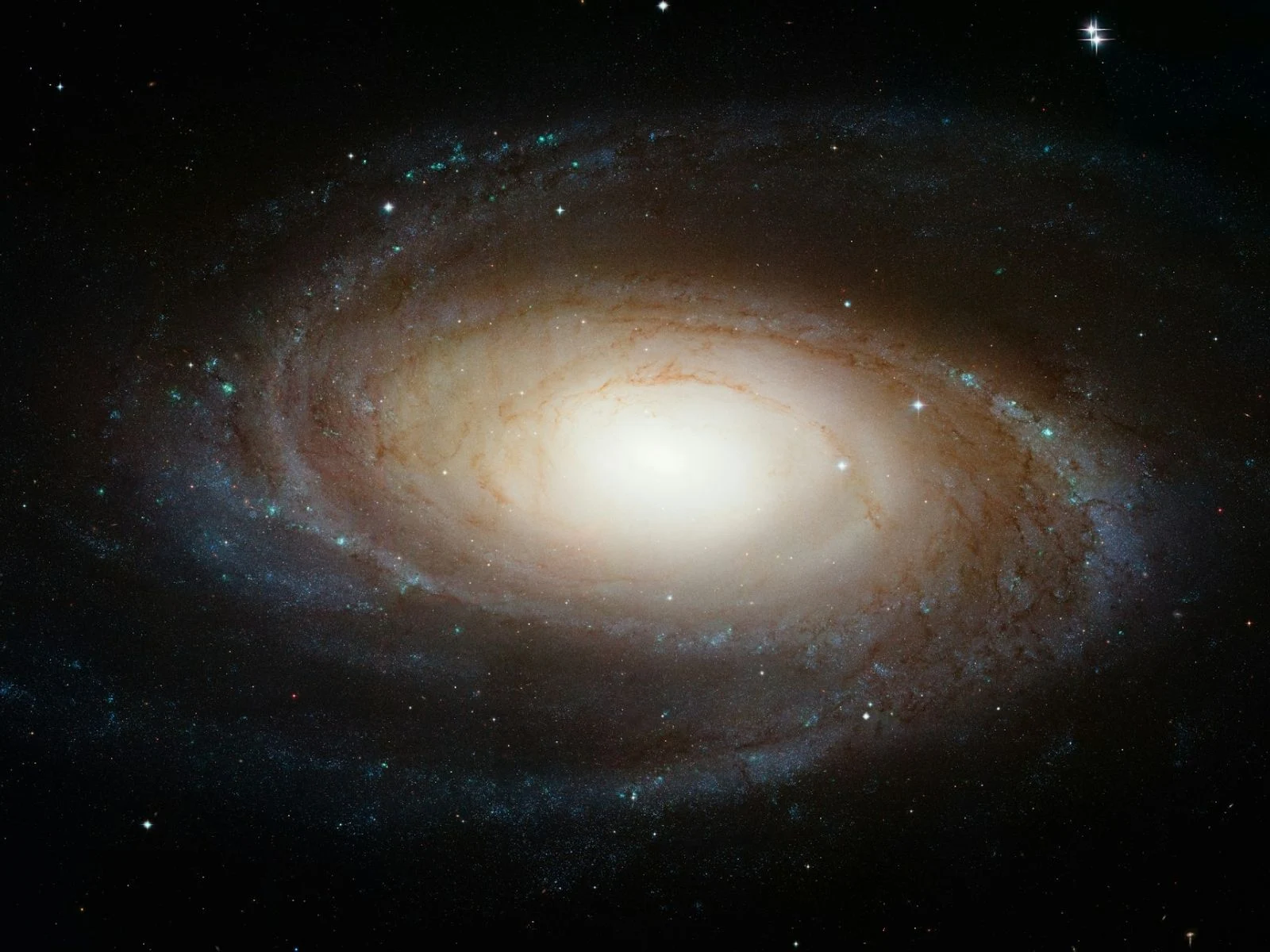 Supermassive Black Hole Located in an Unusual Galaxy Region