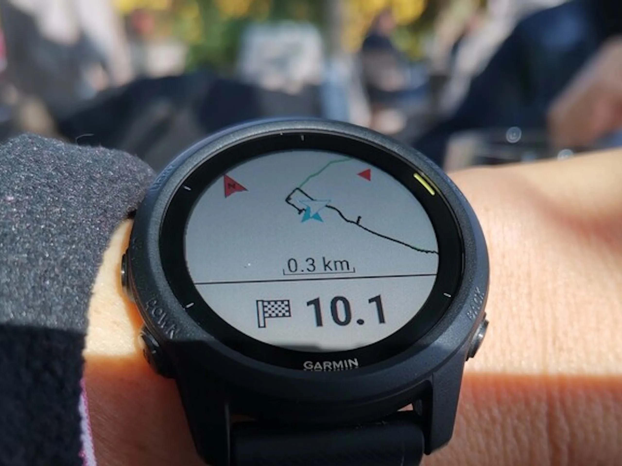 Garmin Data Export Tips for Easy Local Analysis Without Costs