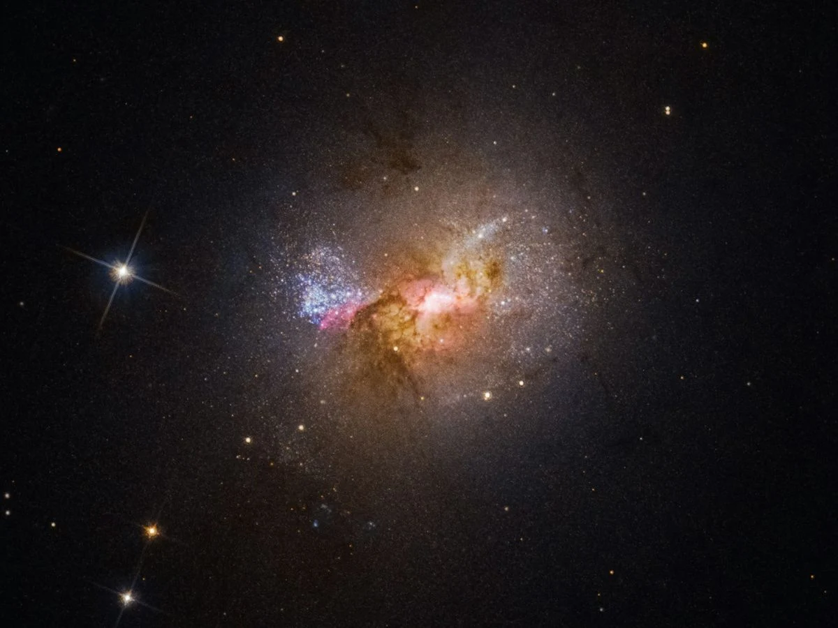 The Large Magellanic Cloud Warps Its Galactic Neighbor